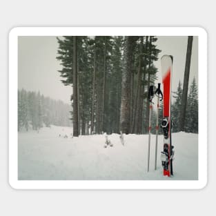 ski equipment Magnet
